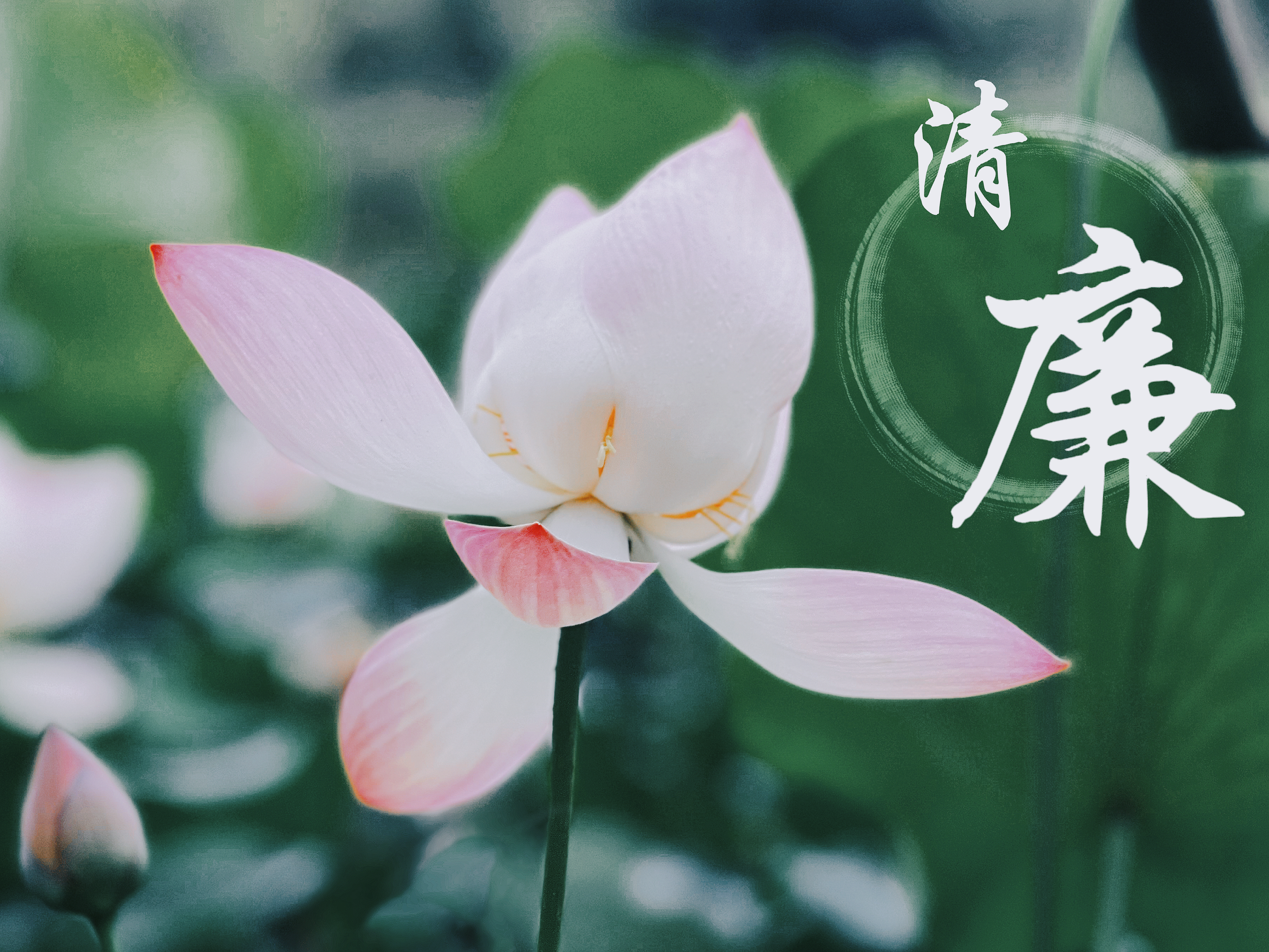 ϹNG28(й)Ʒ޹˾